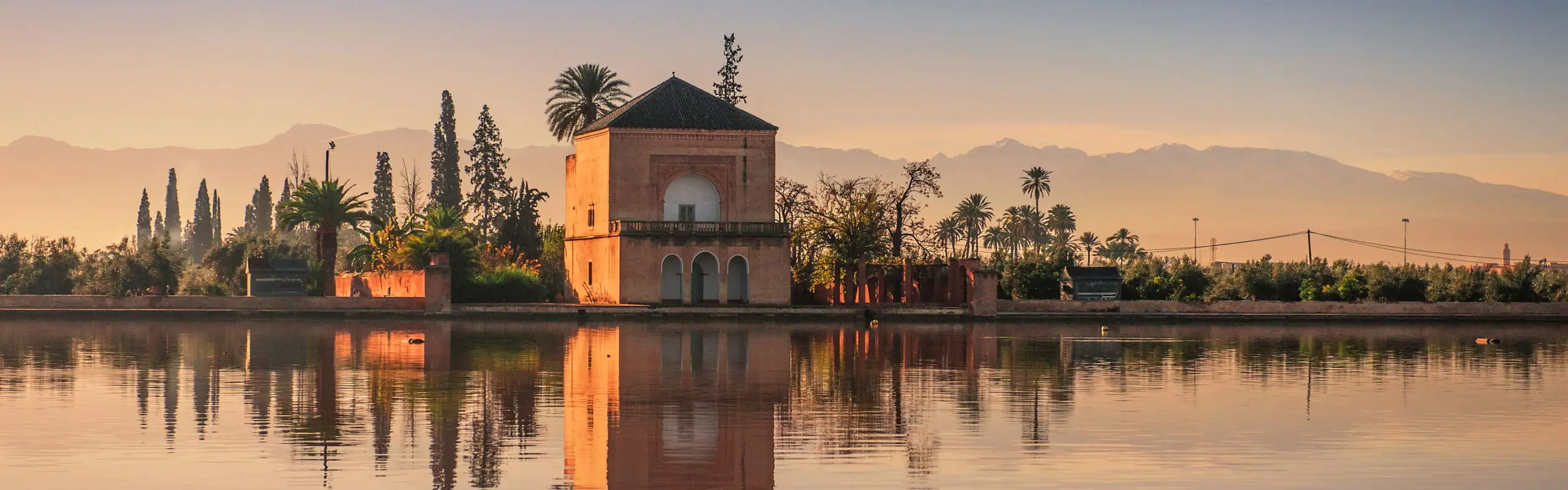 5 Things to Do in Marrakech