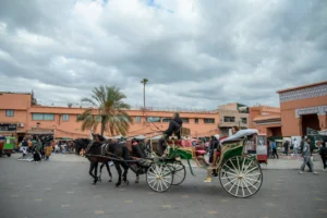 Viaje a Marrakech, Marruecos